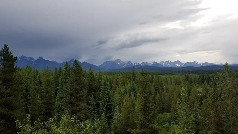 View of Flathead National Forest in Whitefish, MT