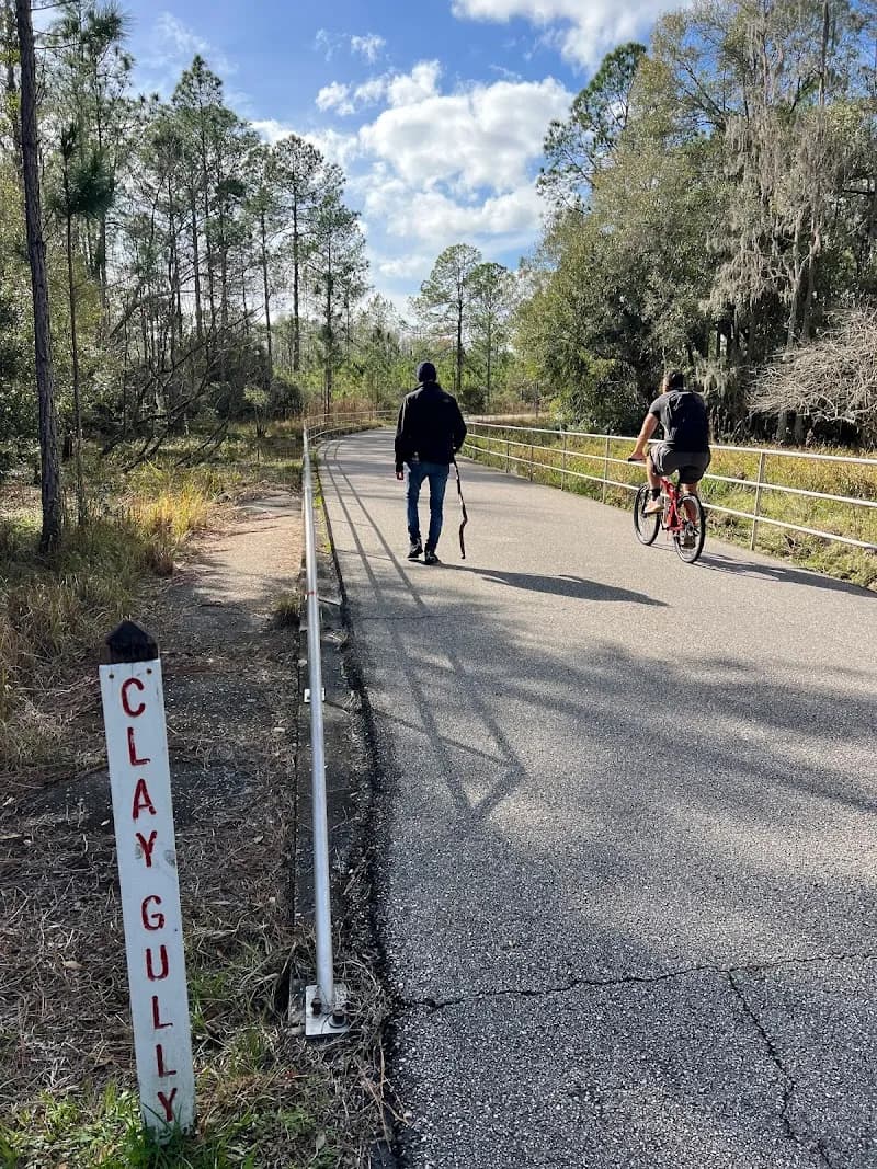 Flatwoods Park park in New Tampa, FL