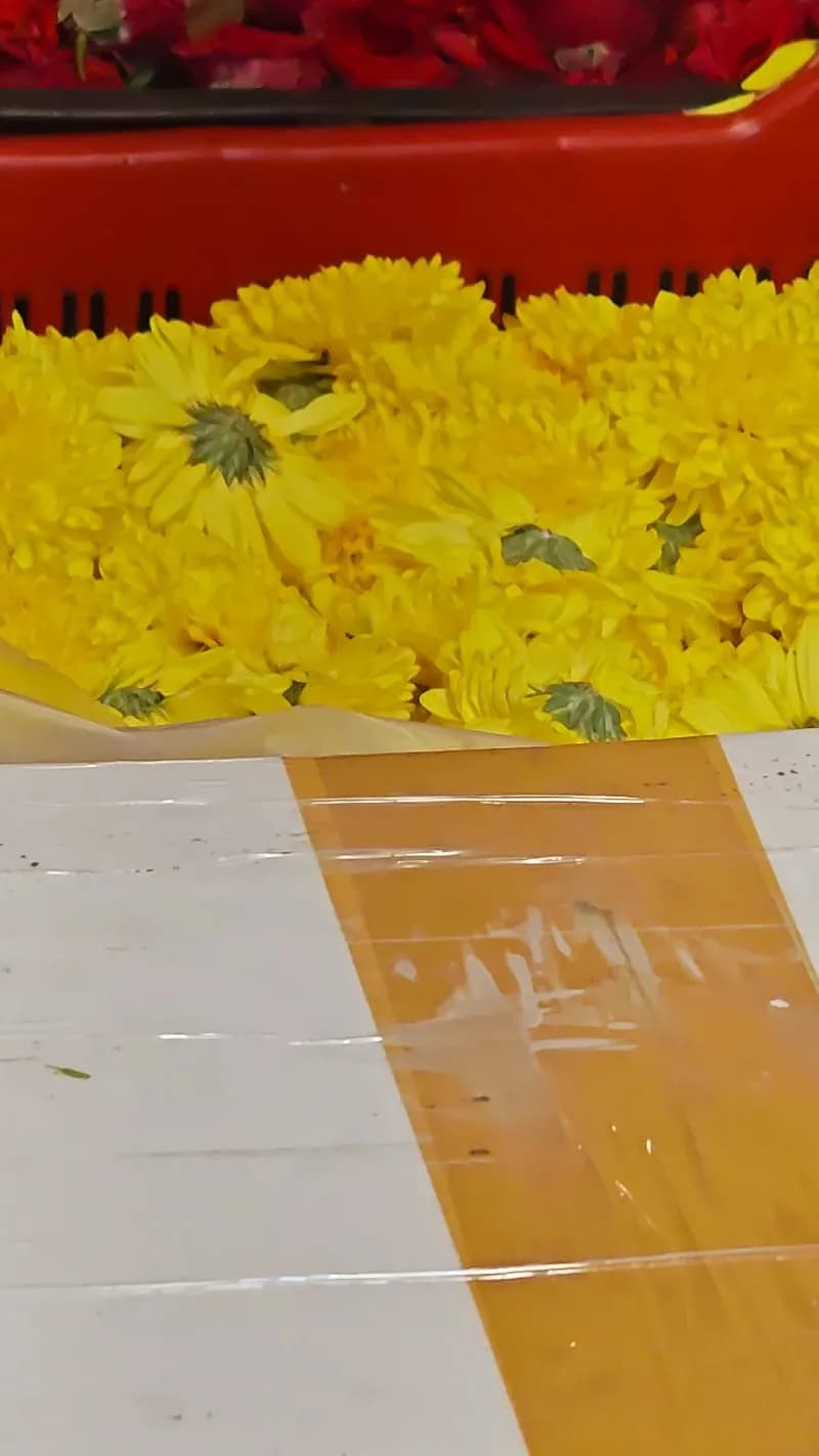 View of Flower Market Dadar in Mumbai, MH