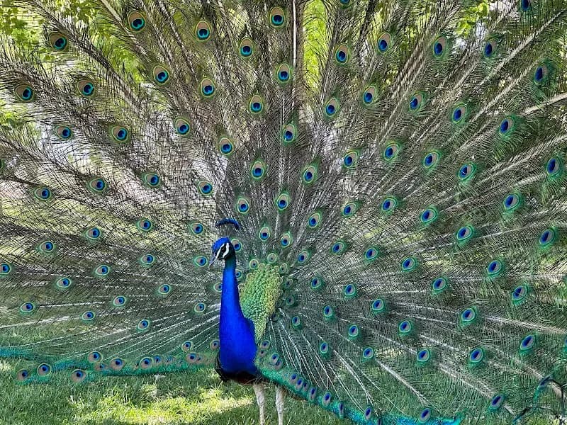 View of Floyd Lamb Park in Centennial Hills, NV