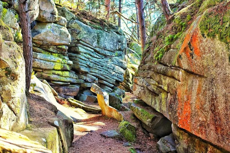 Forêt de Fontainebleau tourist attraction in Fontainebleau, IDF
