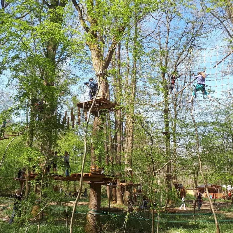 Forest Arena | Parc de loisirs IDF | Accrobranche 77 amusement center in Melun, IDF