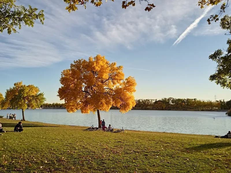 View of Forestal de Polvoranca Park in Leganés, Madrid