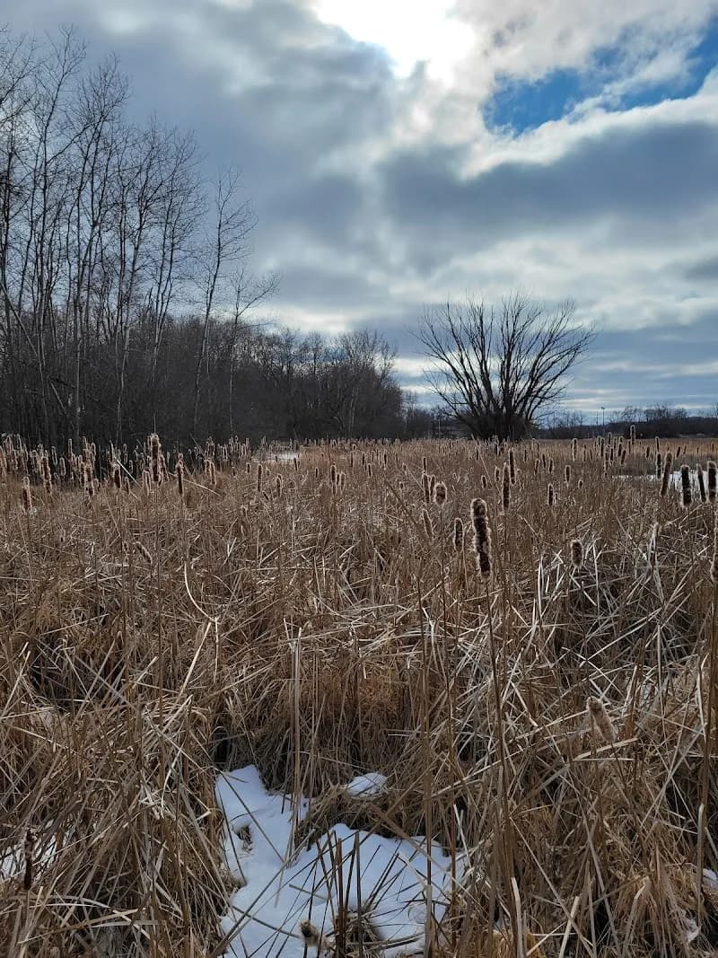 View of Fox River Park Boardwalk in Waukesha, WI