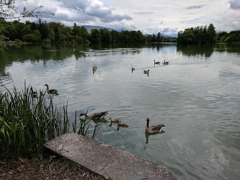 View of Freibad Leopoldskron in Koppl, Salzburg