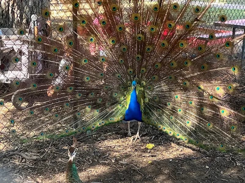 View of Fritz Park in Irving, TX