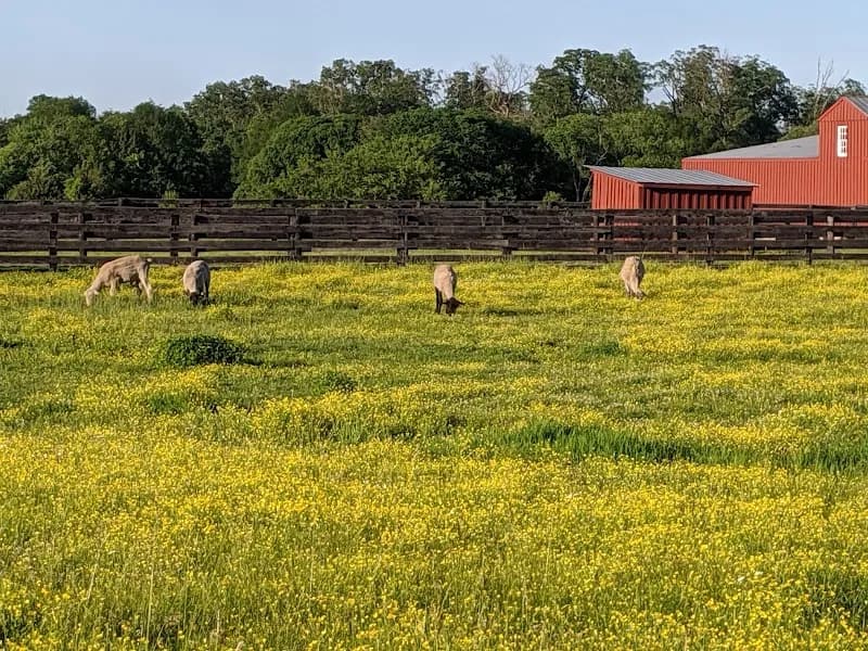 View of Frying Pan Farm Park - Parking Lot in Herndon, VA