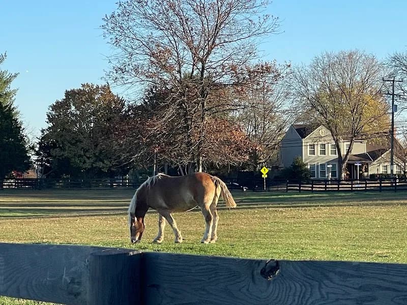 View of Frying Pan Farm Park - Parking Lot in Herndon, VA