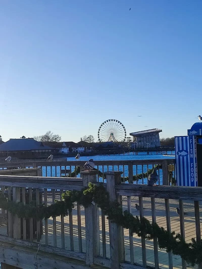View of Fun Park in Myrtle Beach, SC