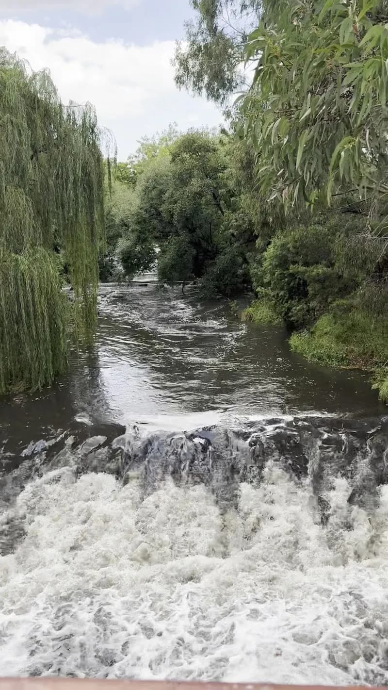 View of Gardiners Creek Trail in Camberwell, VIC