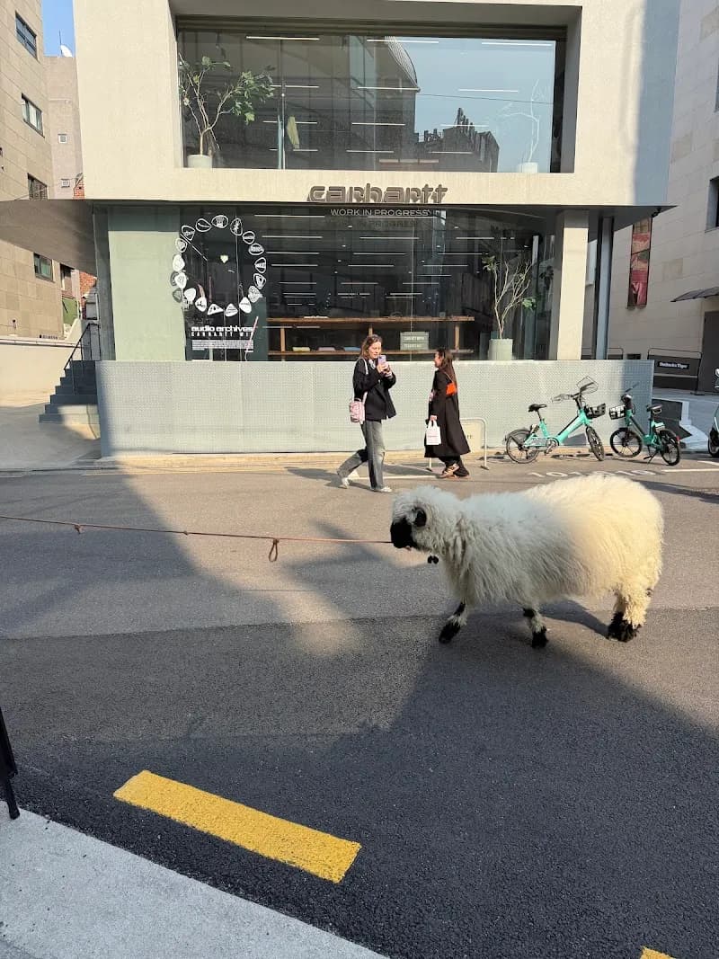 Garosu-gil sublocality level 4 in Apgujeong, SE