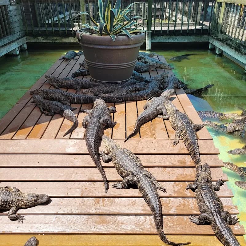 View of Gatorland in Dr. Phillips, FL