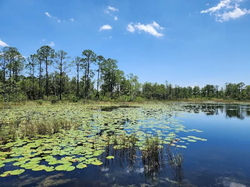 View of Geneva Wilderness Area in Oviedo, FL