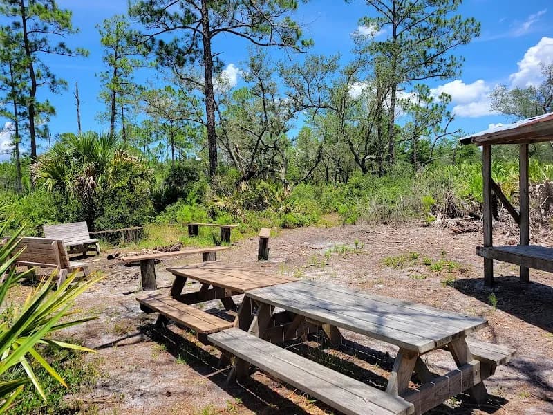 View of Geneva Wilderness Area in Oviedo, FL
