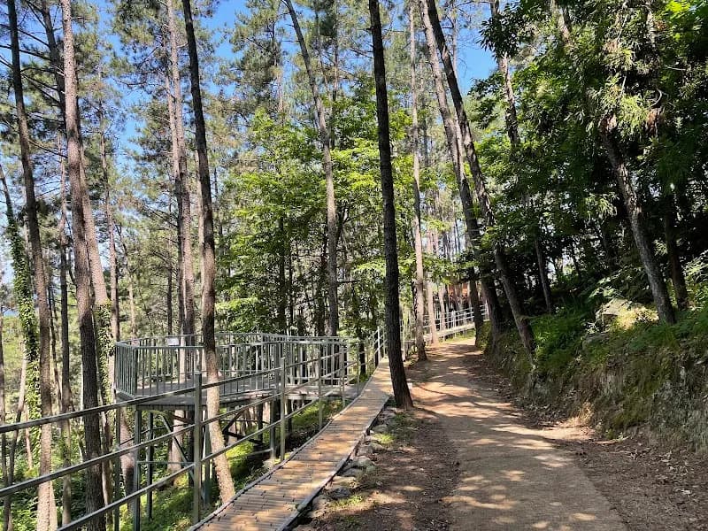 View of Geoje Maengjongjuk Theme Park in Geoje-si, Busan