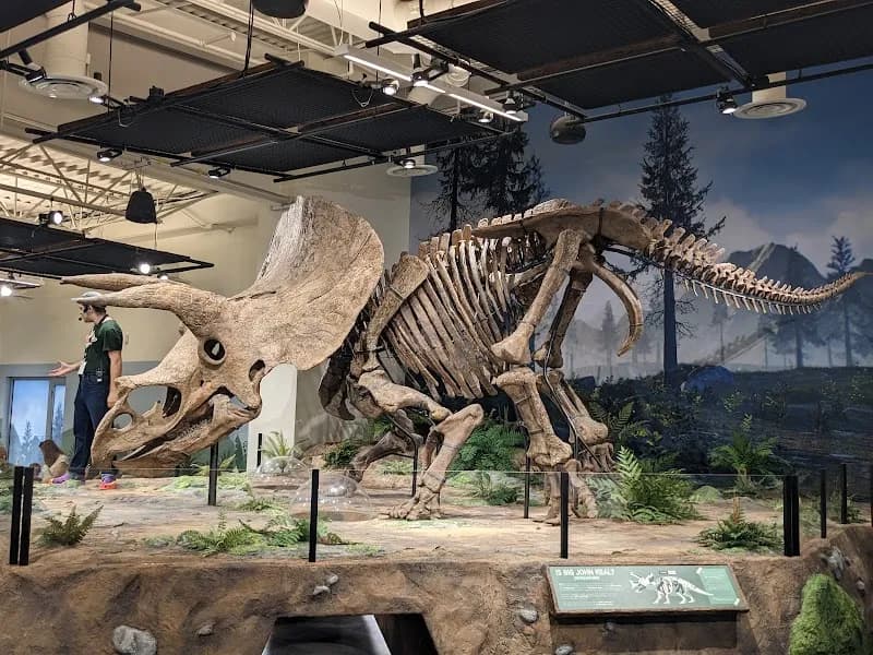 View of Glazer Children's Museum in Tampa, FL