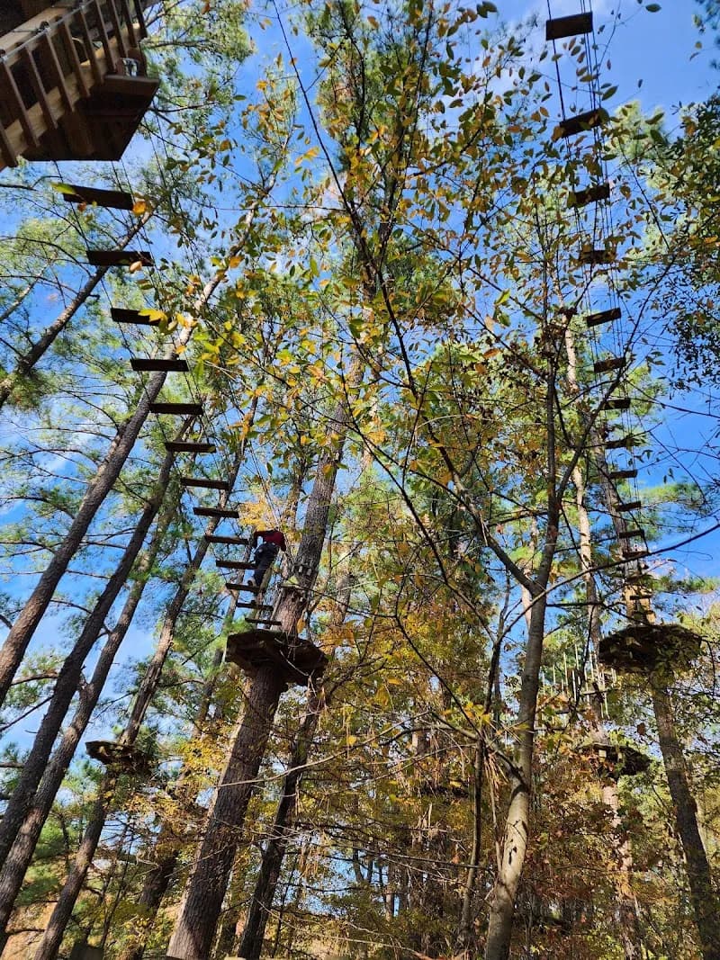 View of Go Ape Zipline and Adventure Park in East Shelby County, TN