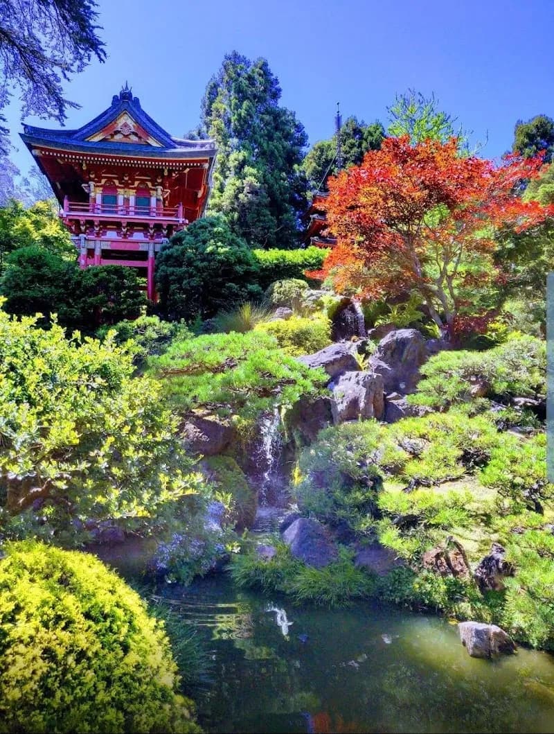 View of Golden Gate Park in San Francisco, CA