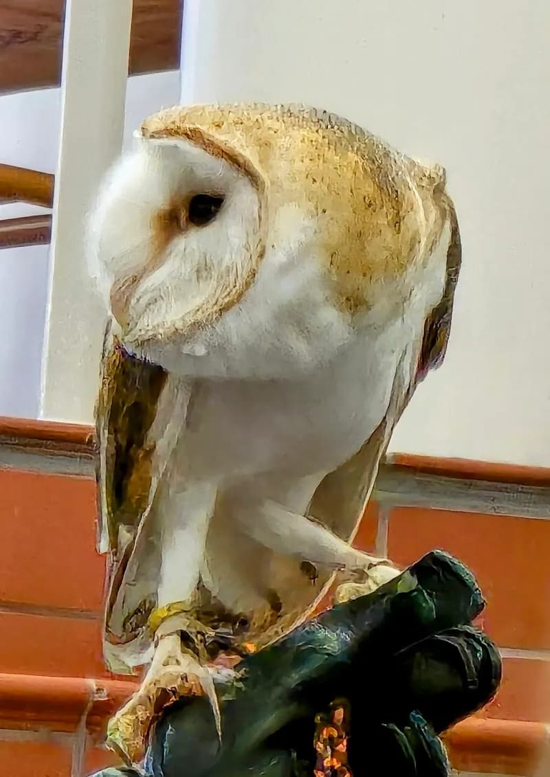 View of Grandview Heights Public Library in Grandview Heights, OH
