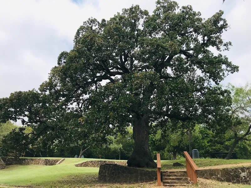 View of Grapevine Springs Park in Coppell, TX