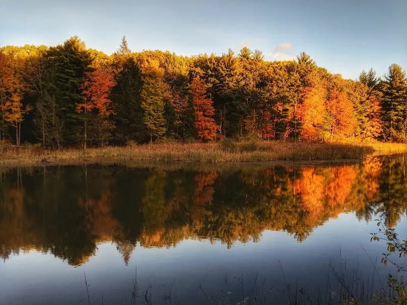 View of Great Bay National Wildlife Refuge in East Kingston, NH