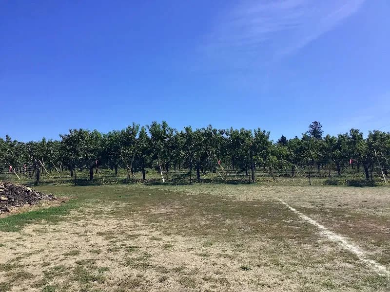 View of Green Bluff in Spokane, WA