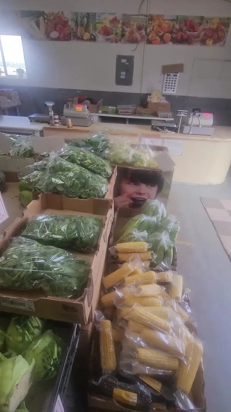 View of Green Leaf Farm Ltd in Surrey, BC