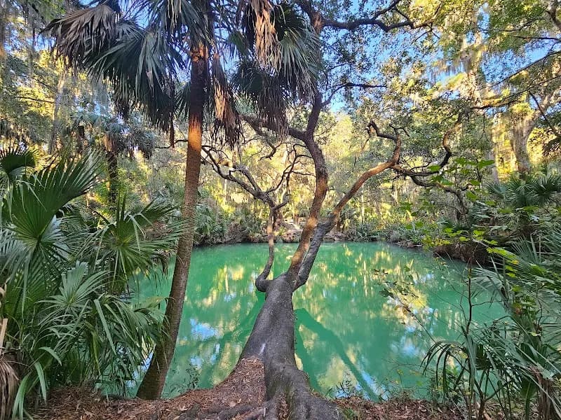 Green Springs Park park in Safety Harbor, FL