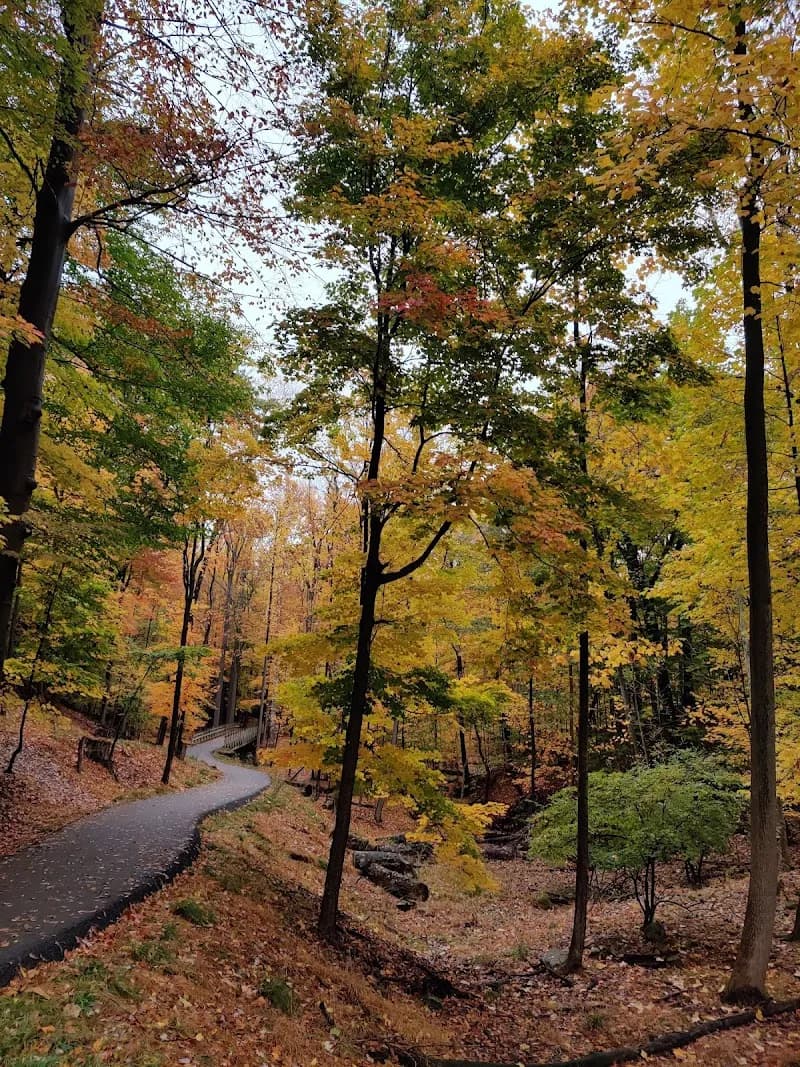 View of Greenbrier Commons in Parma, OH