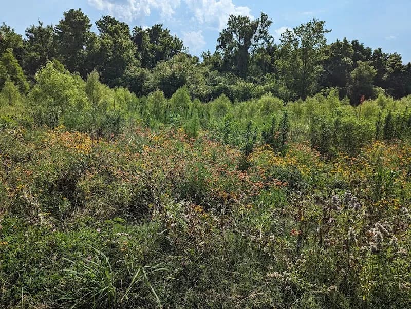 View of Gretna City Park - Claire Ave. Entrance in Gretna, LA