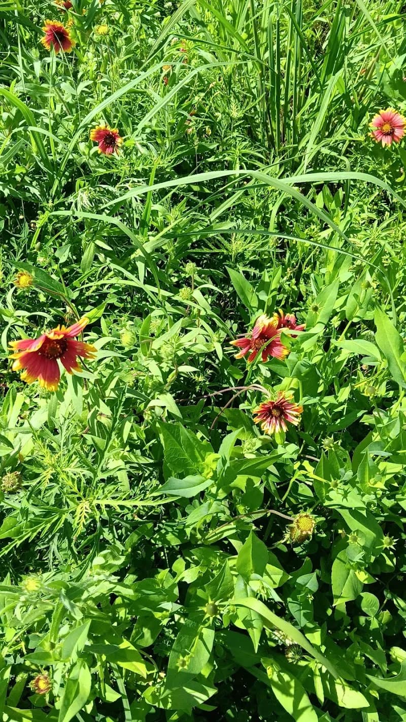 View of Gretna City Park - Claire Ave. Entrance in Gretna, LA