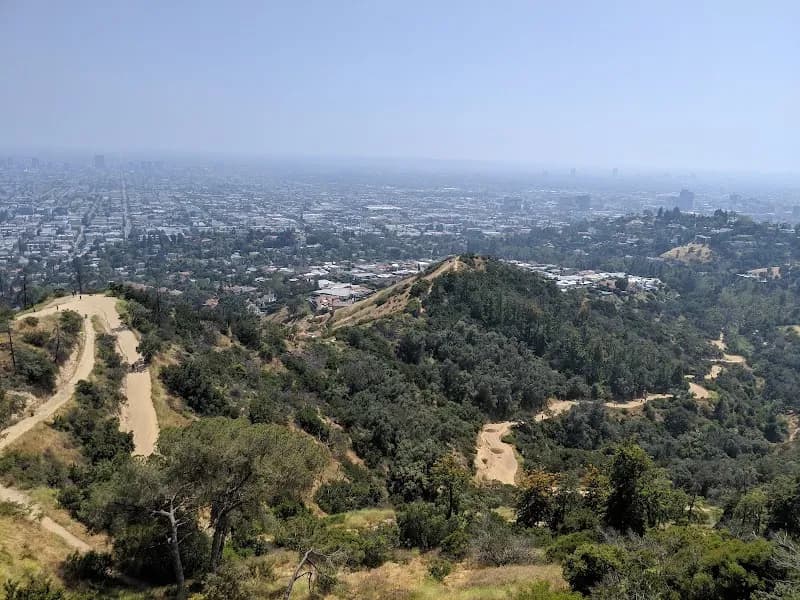 View of Griffith Park in Los Angeles, CA