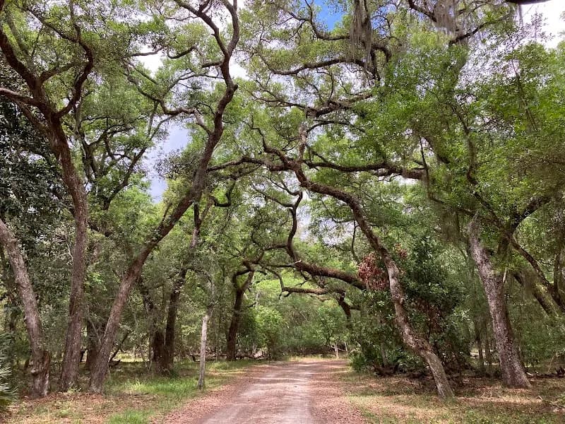 View of Guana Tolomato Matanzas National Estuarine Research Reserve in Ponte Vedra Beach, FL