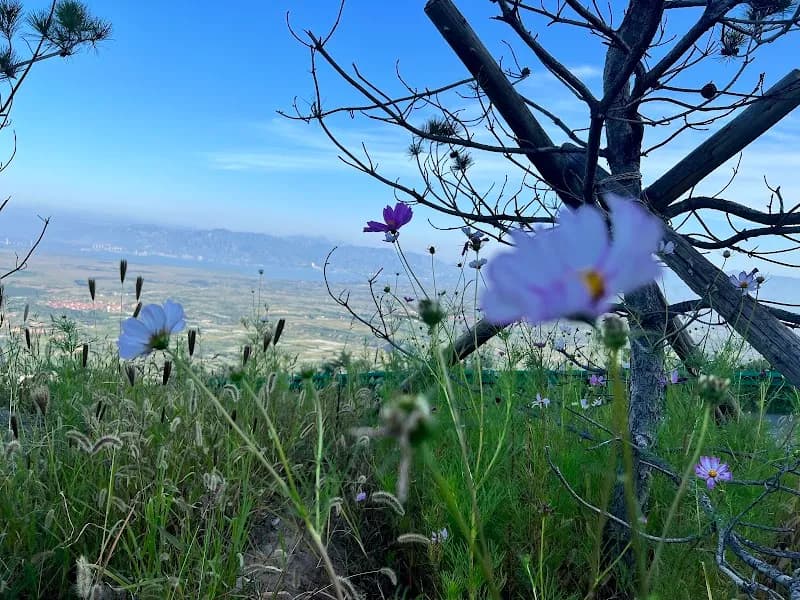 View of Guanting Reservoir Park in Zhangjiakou, Beijing