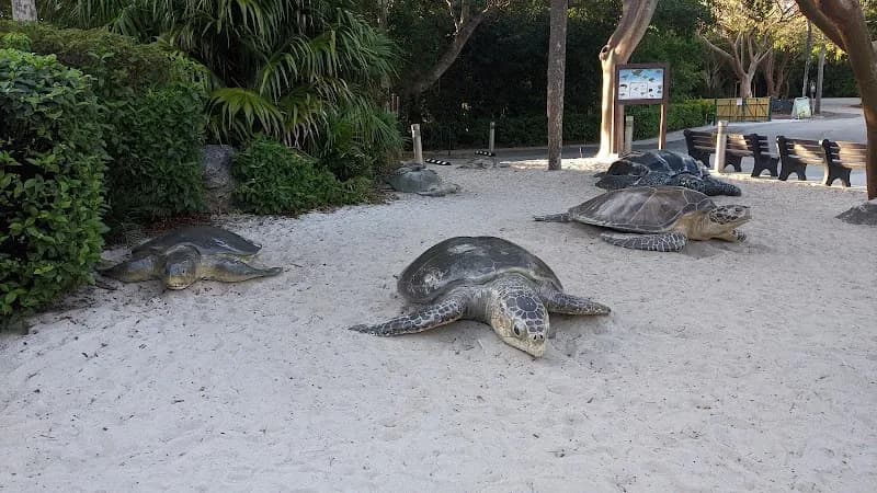 View of Gumbo Limbo Nature Center in Boca Raton, FL