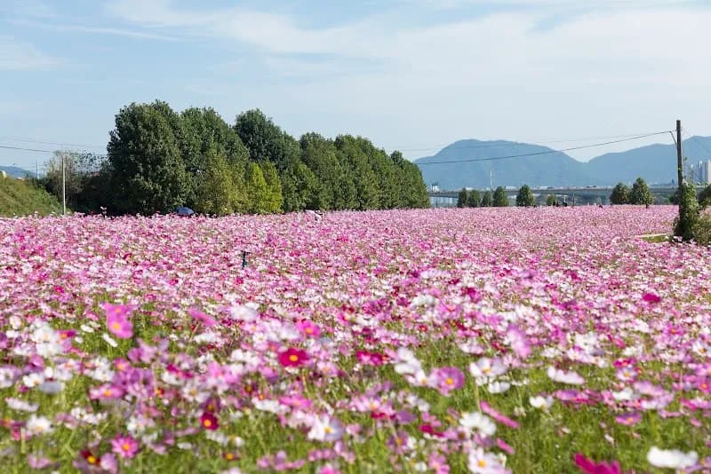 Guri Botanical Garden garden in Guri, GG