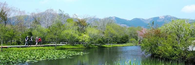 Hakone Botanical Garden of Wetlands botanical garden in Hakone, Kanagawa