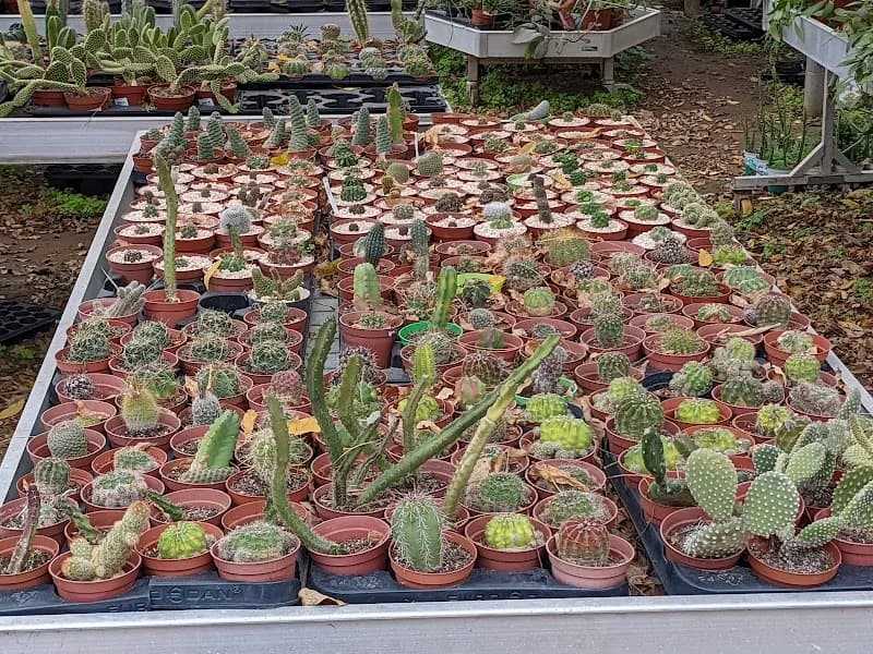View of Halbrecht Farm Food Garden in Ramat Hasharon, TA