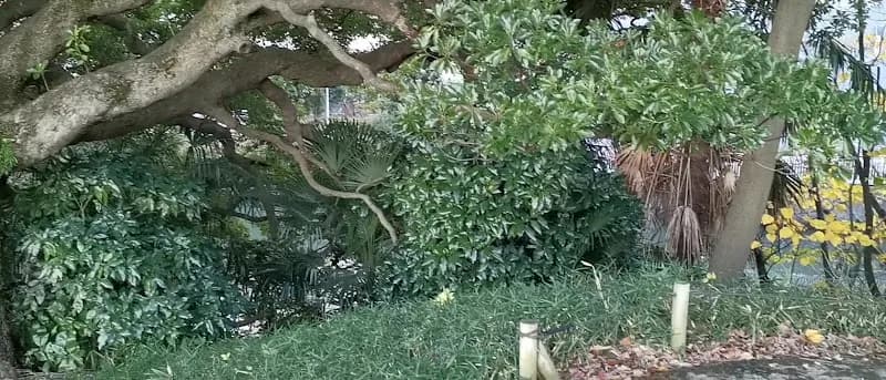 View of Hamarikyu Gardens in Minato, Tokyo