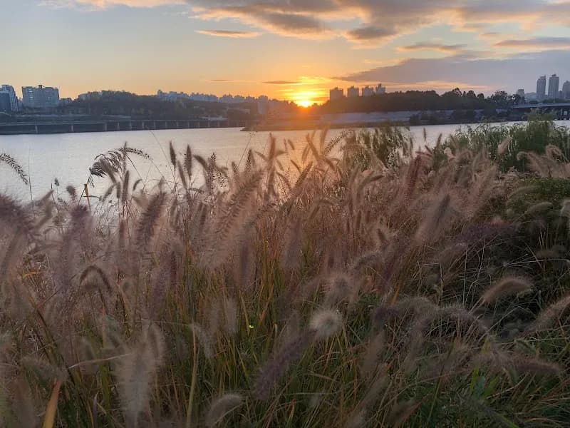 Hangang Park park in Hanam, GG