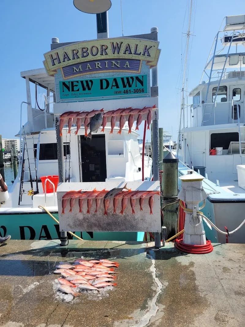 HarborWalk Marina marina in Destin, FL