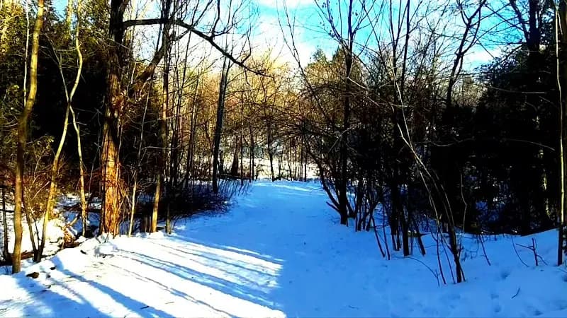View of Harmony Valley Park and Off-Leash Dog Park in Oshawa, ON