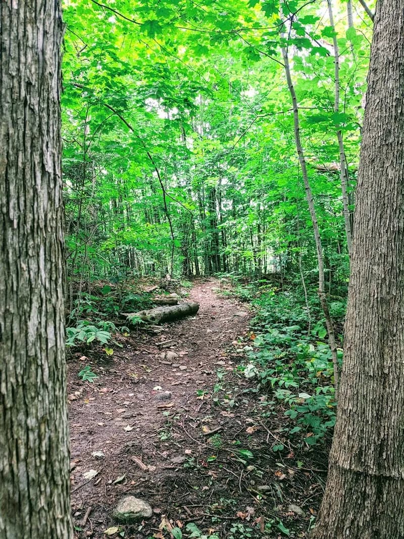 View of Harmony Valley Park and Off-Leash Dog Park in Oshawa, ON
