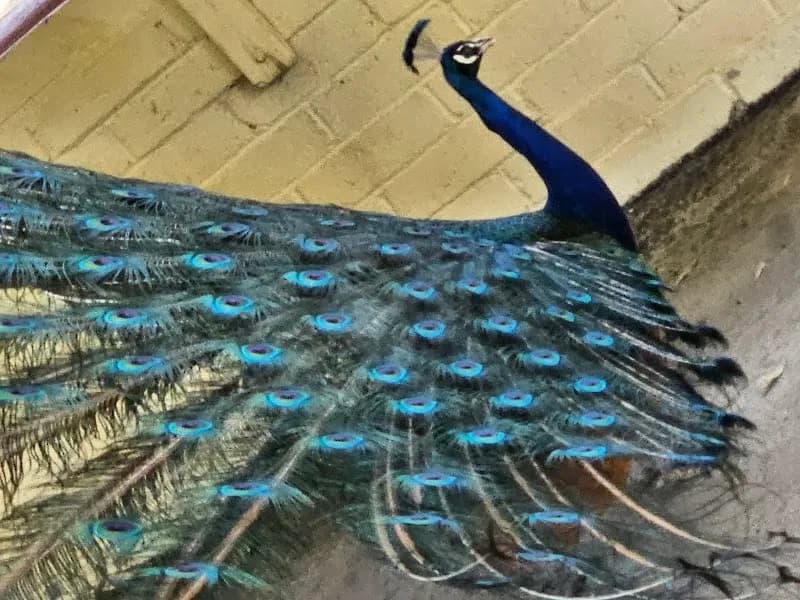 View of Hart Memorial Park in Bakersfield, CA