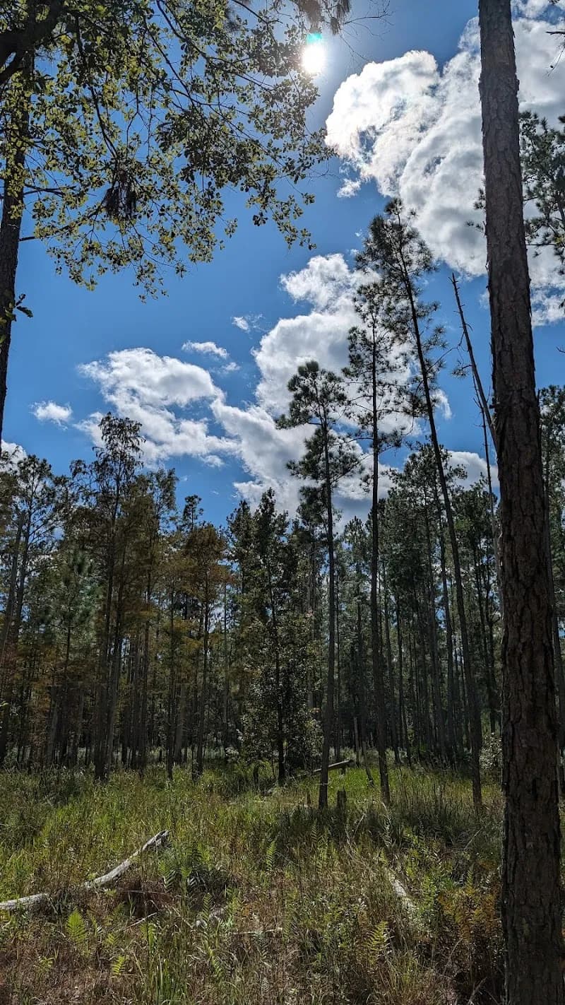 View of Hatchet Creek Wildlife Management Area in Starke, FL