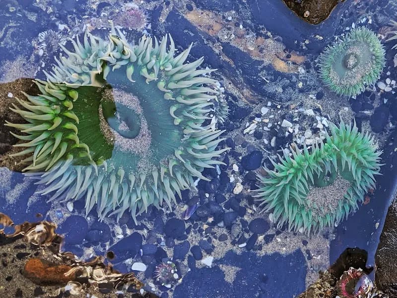 View of Haystack Rock in Cannon Beach, OR