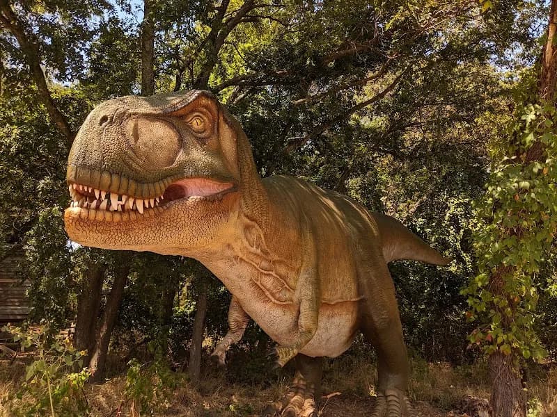 View of Heard Natural Science Museum & Wildlife Sanctuary in Mckinney, TX