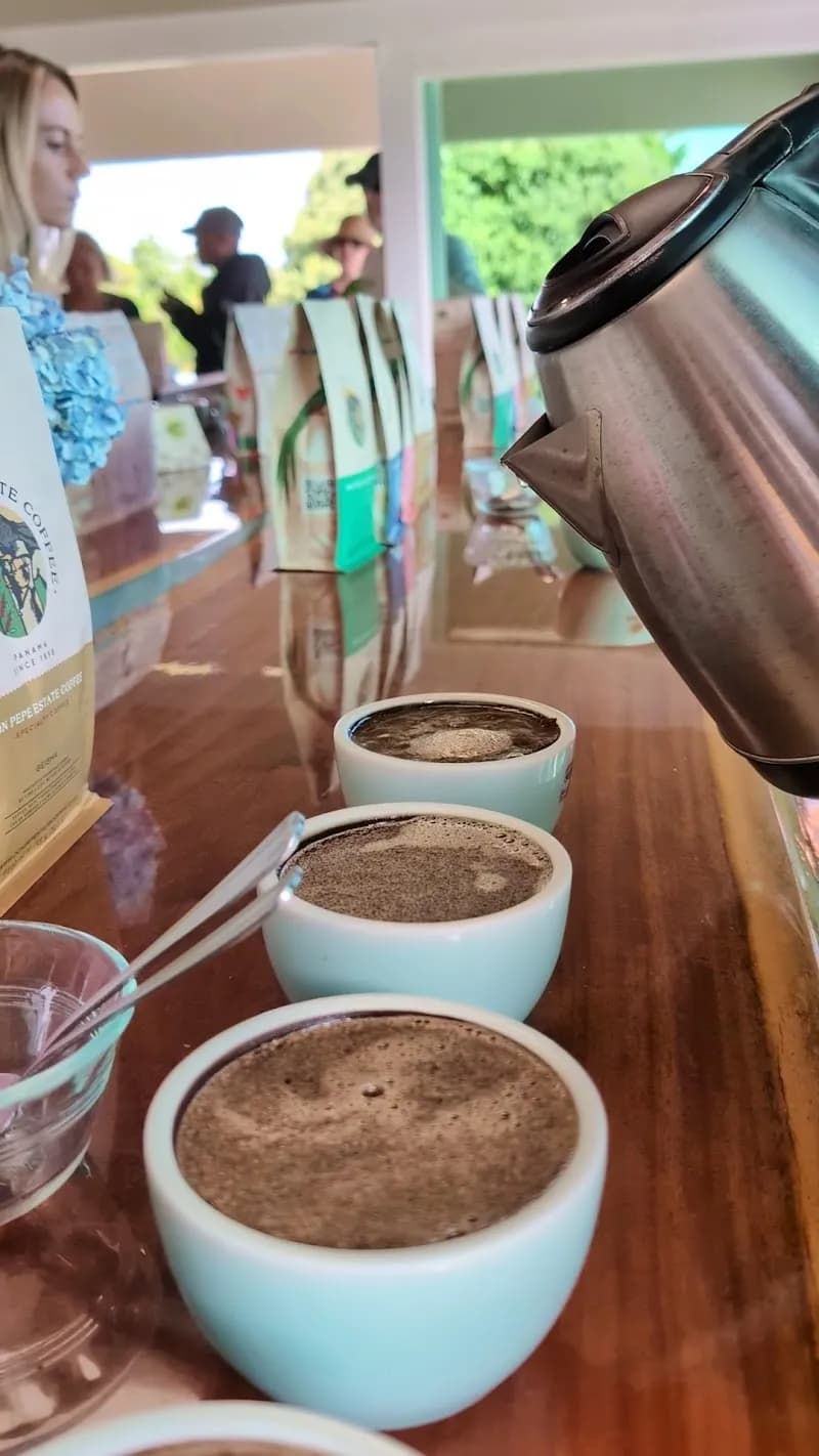 View of Heladería Don Pepe in Curundu, PA