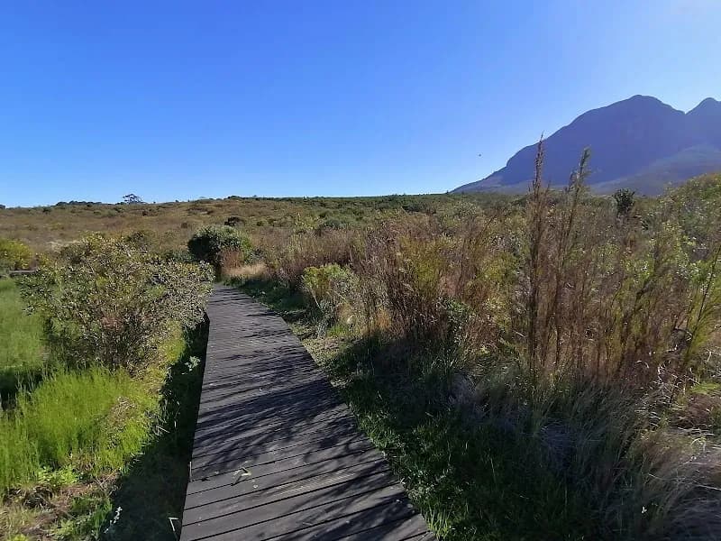 View of Helderberg Nature Reserve in Stellenbosch, WC