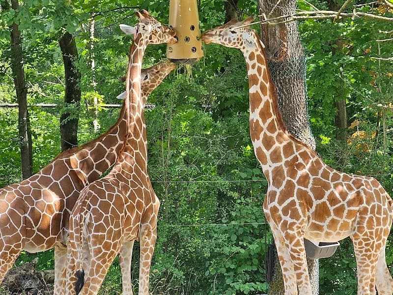 View of Hellabrunn Zoo in Munich, BY
